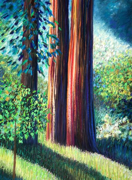 Old Growth by Polly Castor
